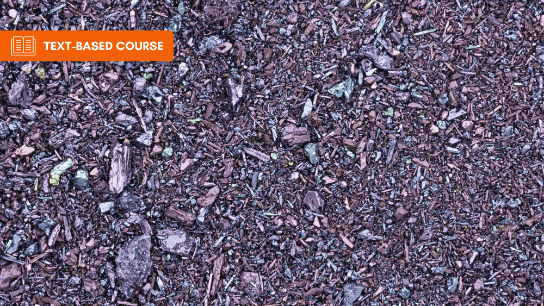 Public Water Disinfection using Potassium Permanganate